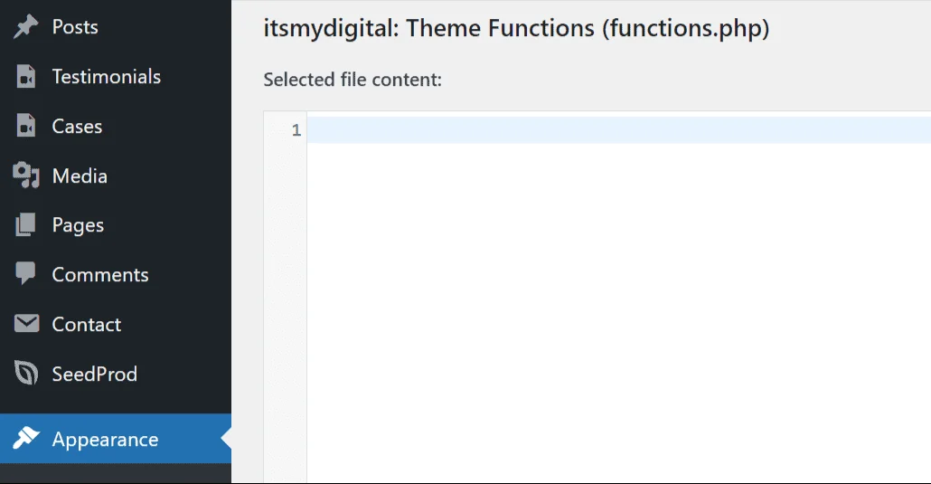 Add a Custom Function in functions.php